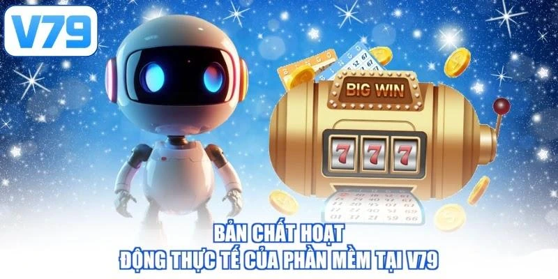 Bản chất hoạt động thực tế của phần mềm tại V79